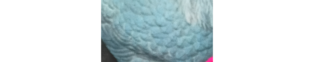 Crocheted Items